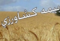 بیمه کشاورزی بیمه کشاورزی
