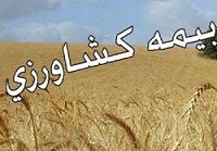 بیمه کشاورزی 